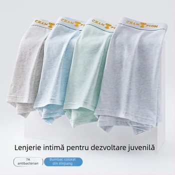 Boxeri pentru băieți din bumbac 95% și elastan 5%, antibacteriale, pentru copii peste 8 ani
