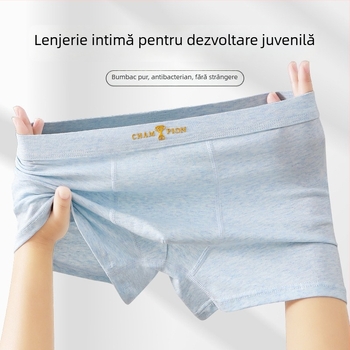 Boxeri pentru băieți din bumbac 95% și elastan 5%, antibacteriale, pentru copii peste 8 ani