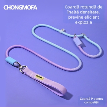 Lesă pentru câini în culoare gradientă, cu lanț P rezistent la rupere, pentru câini de talie medie și mare, previne evadarea