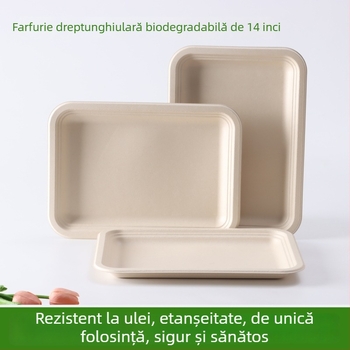 Farfurie de unică folosință din fibre de trestie de zahăr, dreptunghiulară, 14 inchi, pentru grătar, picnic, cartofi prăjiți și gustări