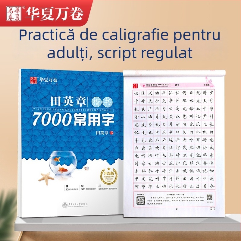 Tian Yingzhang Scriere Regulată: 7000 caractere uzuale – Caiet de exerciții pentru caligrafie Xingkai cu instrument dur pentru elevi și adulți