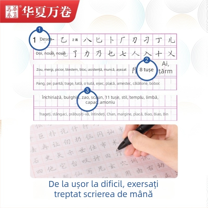 Tian Yingzhang Scriere Regulată: 7000 caractere uzuale – Caiet de exerciții pentru caligrafie Xingkai cu instrument dur pentru elevi și adulți