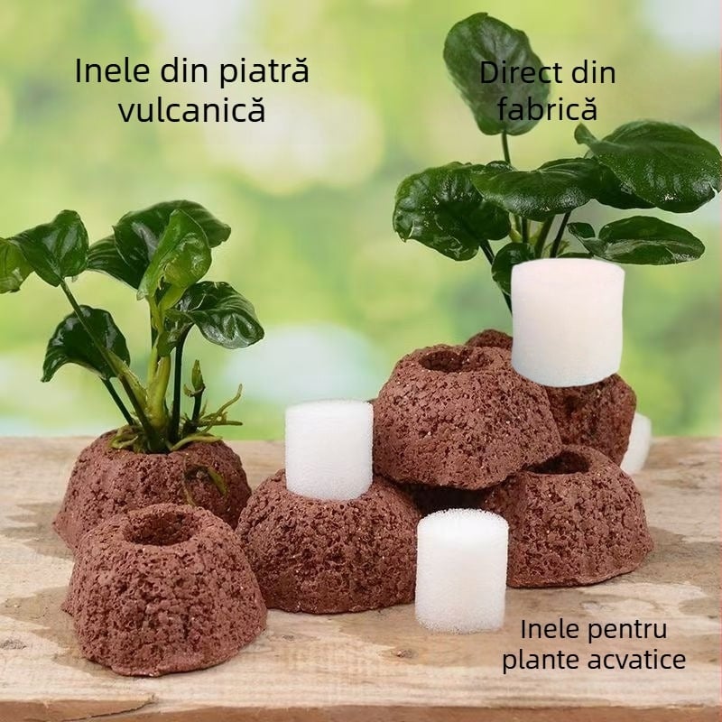 Inel din piatră vulcanică pentru plante acvatice – inel perforat pentru plantare, bază fixă și inel de scufundare pentru decorul acvariului
