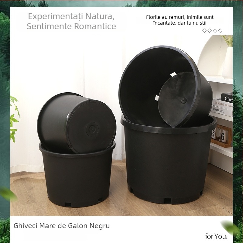 Ghiveci din plastic dur negru, gură rotundă, capacitate mare pentru pomi fructiferi, design rustic îngroșat, variante în mai multe dimensiuni
