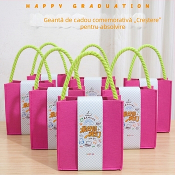 Geantă verde din fetru, amintire de la absolvirea grădiniței, destinată distribuirii între clasele primare și gimnaziale, dimensiuni aproximative 25 cm lungime x 10 cm lățime x 22 cm înălțime
