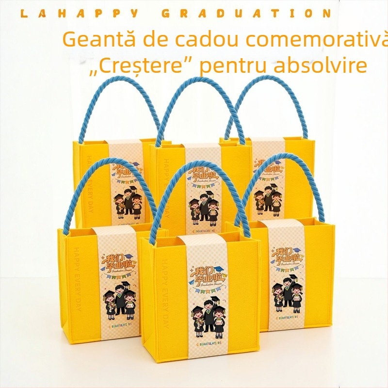 Geantă verde din fetru, amintire de la absolvirea grădiniței, destinată distribuirii între clasele primare și gimnaziale, dimensiuni aproximative 25 cm lungime x 10 cm lățime x 22 cm înălțime