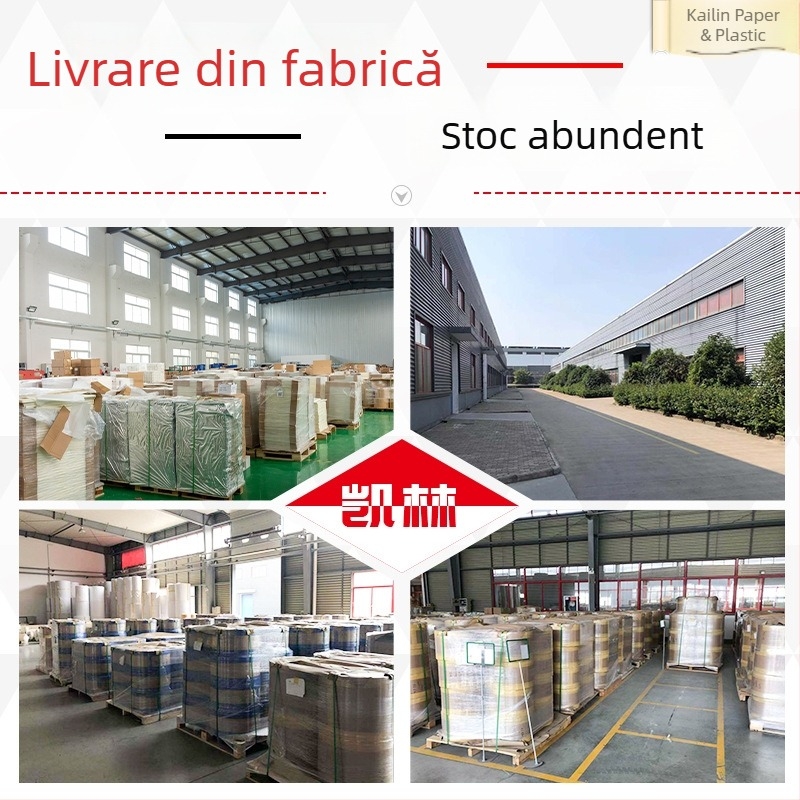 Hârtie de copt cu strat de silicon, pătrată, dublu anti-ulei, potrivită pentru coacere și înfășurarea peștelui sau a hârtiei de orez, de calitate alimentară.