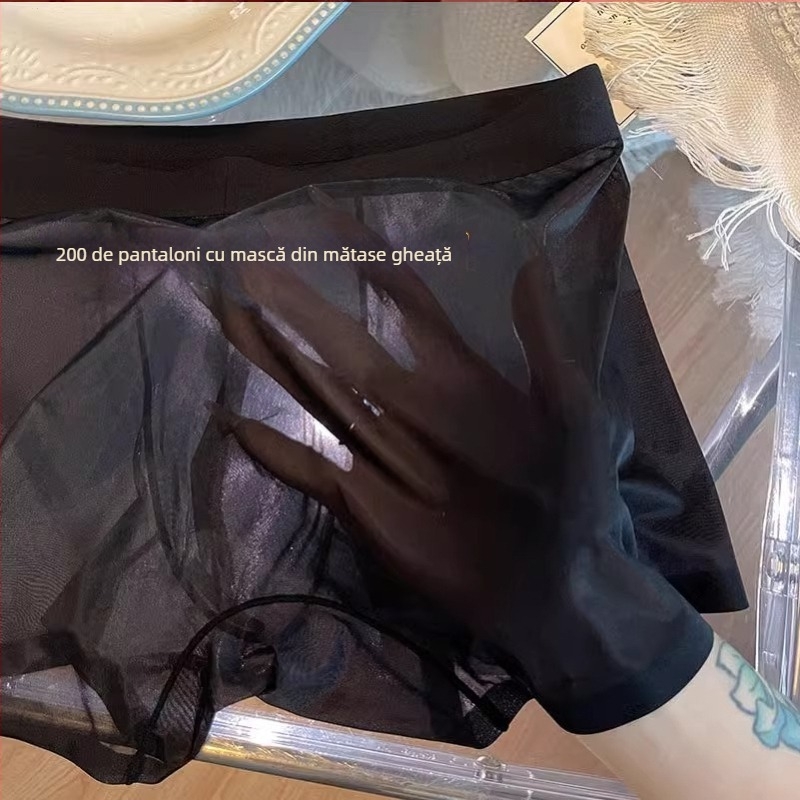 Boxer briefs pentru bărbați, complet transparenți - respirabile, plasă fină, ultra-subțiri pentru vară