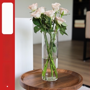 Vas hidroponic din acril transparent pentru living, rezistentă la impact, bazin adânc, design lux ușor.