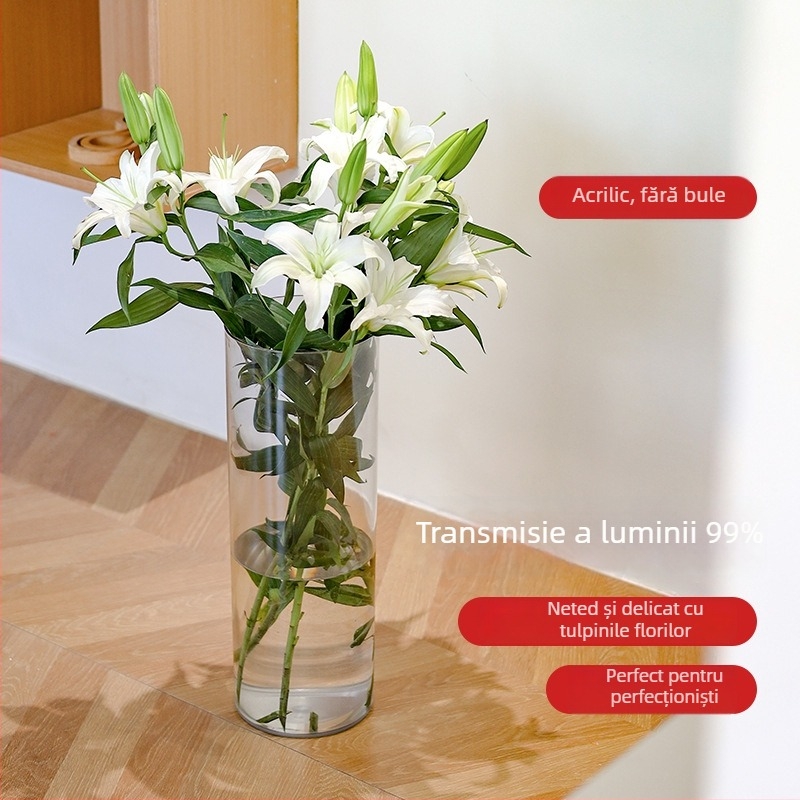 Vas hidroponic din acril transparent pentru living, rezistentă la impact, bazin adânc, design lux ușor.