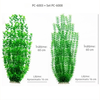 Compoziție de 60 cm cu plante acvatice și alge marine — mini peisaj bonsai simulativ pentru decor de birou