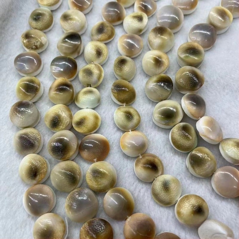 Mărgele din scoici naturale pentru bijuterii DIY și decor pentru acvariu, kit de accesorii semi-fabricate cu ornamente mici, 12 mm