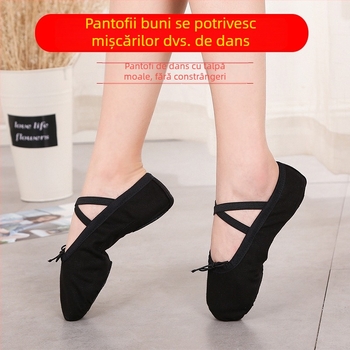 Pantofi de balet pentru adulți, pantofi de modelare a corpului, pantofi de yoga pentru bărbați și femei, încălțăminte de dans etnic modern-clasică