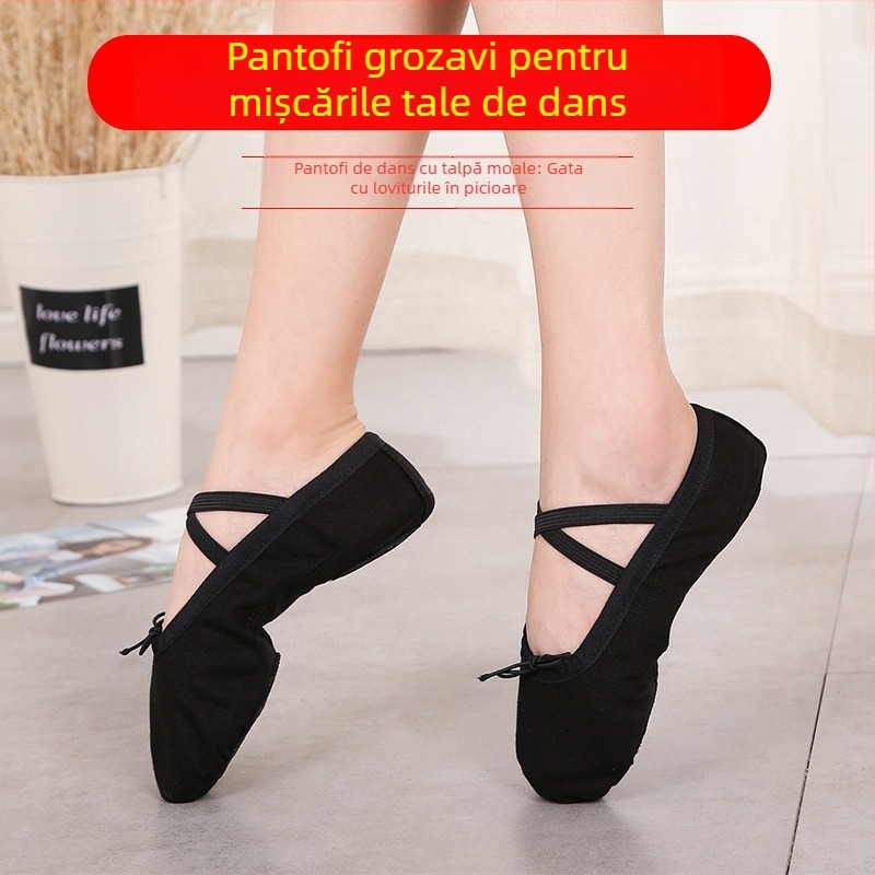 Pantofi de balet pentru adulți, pantofi de modelare a corpului, pantofi de yoga pentru bărbați și femei, încălțăminte de dans etnic modern-clasică