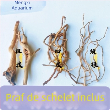 Kit de amenajare a acvariului: rădăcini de rododendron, lemn scufundat, crengi groase și subțiri și schelet de plante