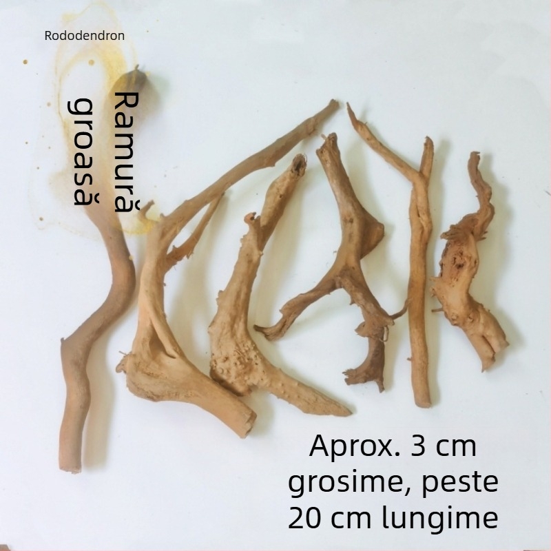 Kit de amenajare a acvariului: rădăcini de rododendron, lemn scufundat, crengi groase și subțiri și schelet de plante