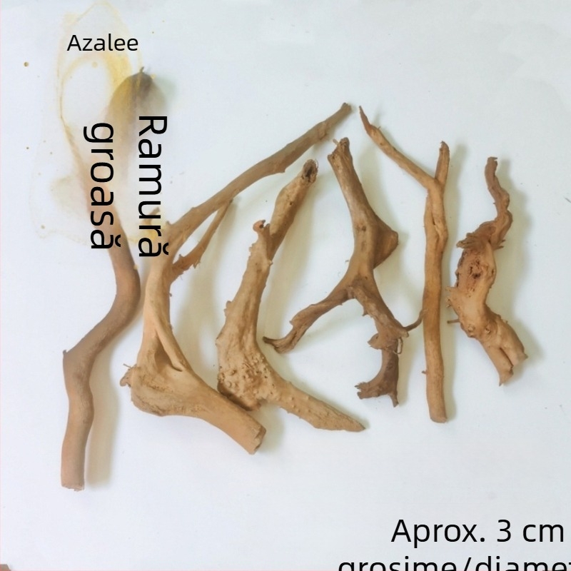Kit de amenajare a acvariului: rădăcini de rododendron, lemn scufundat, crengi groase și subțiri și schelet de plante