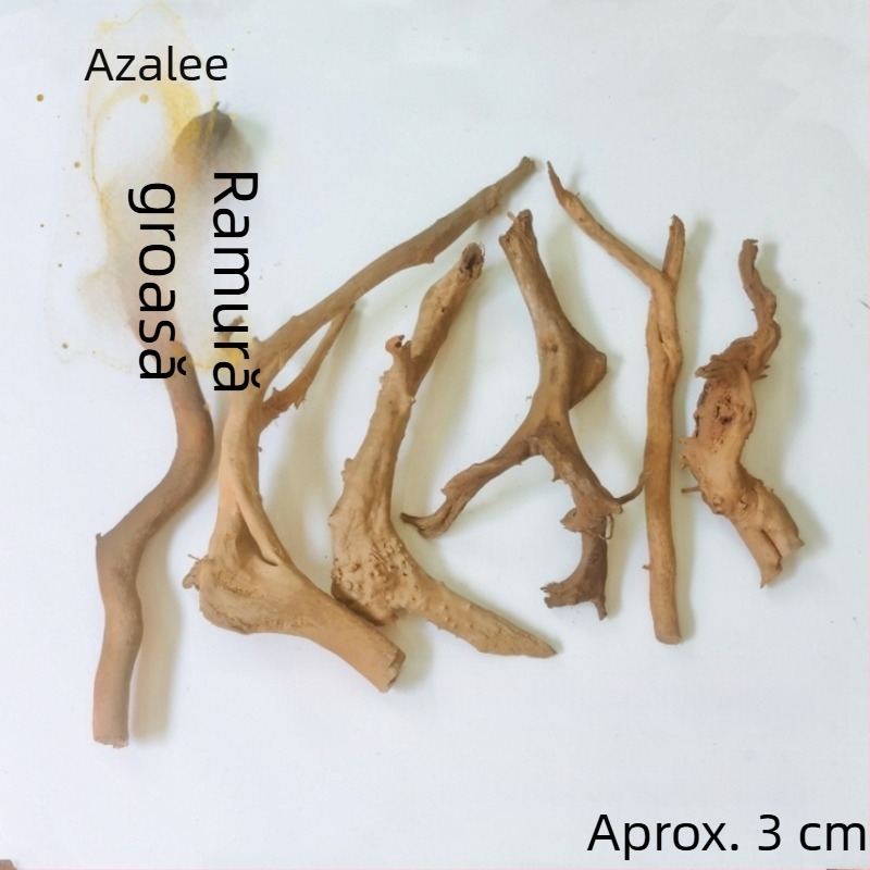 Kit de amenajare a acvariului: rădăcini de rododendron, lemn scufundat, crengi groase și subțiri și schelet de plante