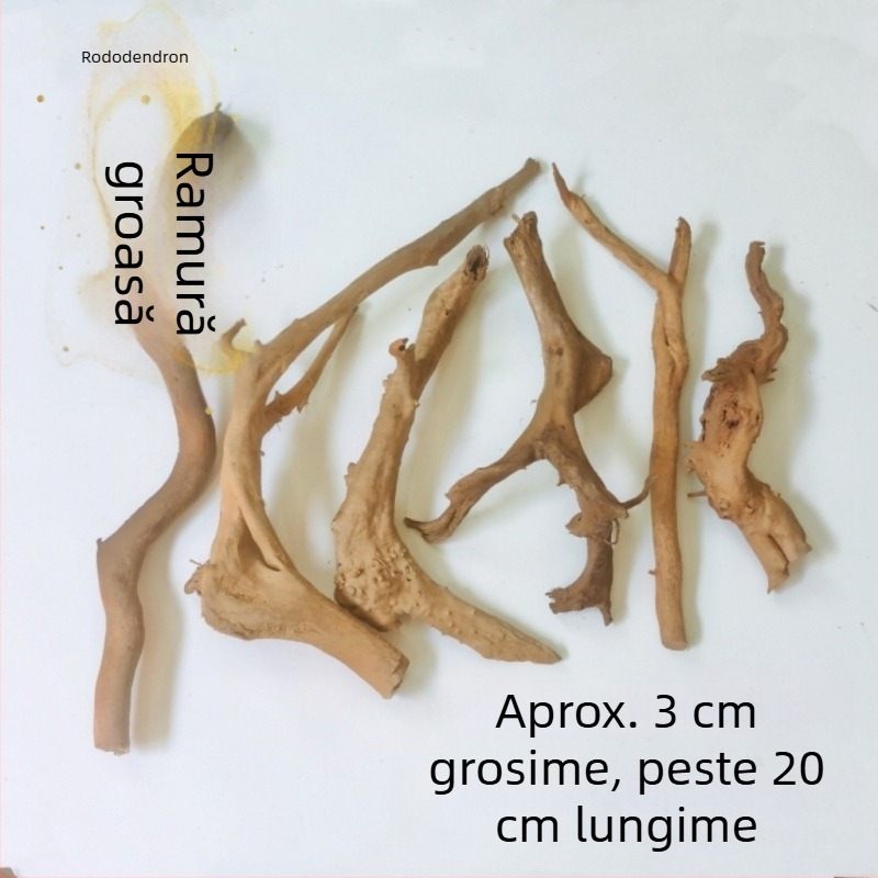 Kit de amenajare a acvariului: rădăcini de rododendron, lemn scufundat, crengi groase și subțiri și schelet de plante