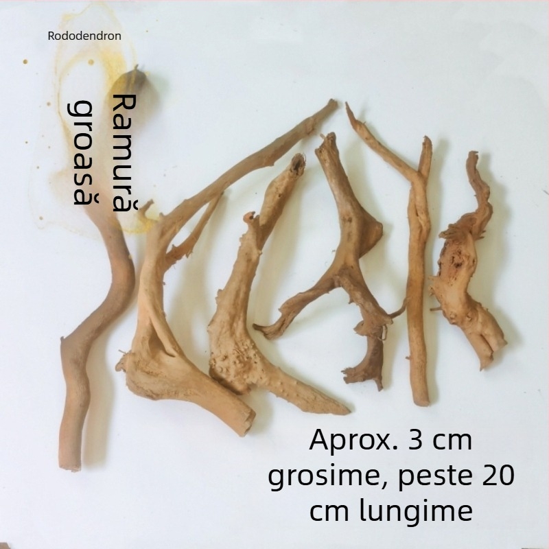 Kit de amenajare a acvariului: rădăcini de rododendron, lemn scufundat, crengi groase și subțiri și schelet de plante