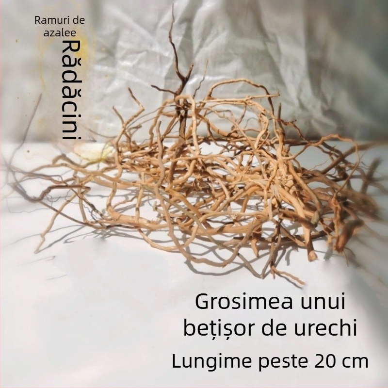Kit de amenajare a acvariului: rădăcini de rododendron, lemn scufundat, crengi groase și subțiri și schelet de plante
