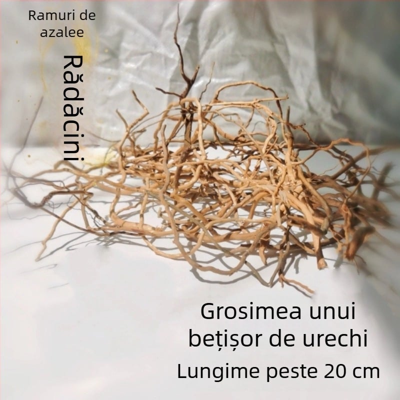 Kit de amenajare a acvariului: rădăcini de rododendron, lemn scufundat, crengi groase și subțiri și schelet de plante