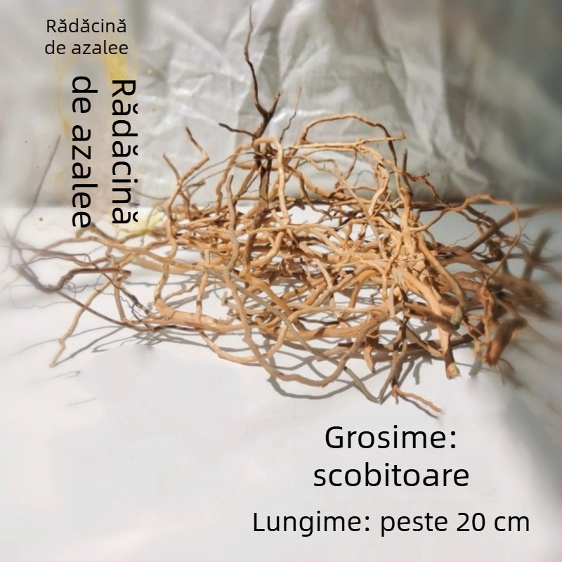 Kit de amenajare a acvariului: rădăcini de rododendron, lemn scufundat, crengi groase și subțiri și schelet de plante