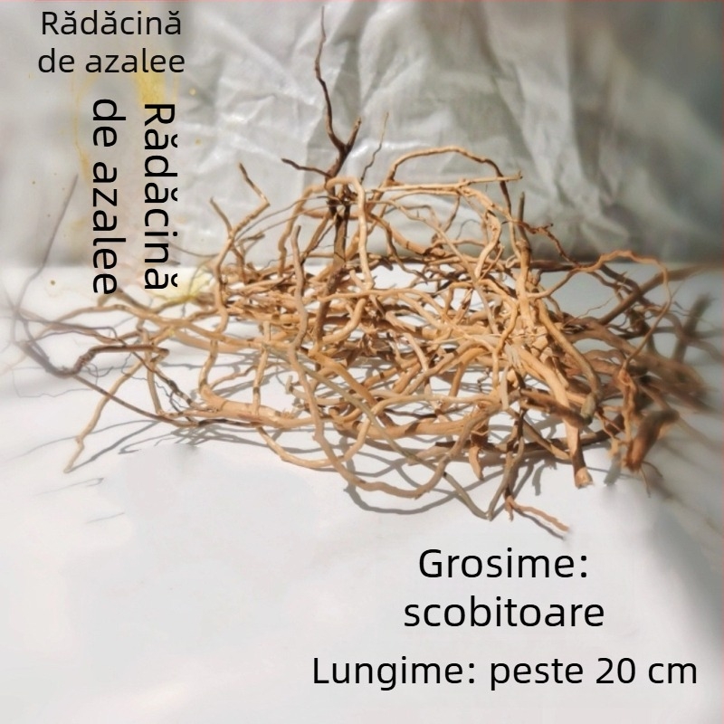 Kit de amenajare a acvariului: rădăcini de rododendron, lemn scufundat, crengi groase și subțiri și schelet de plante