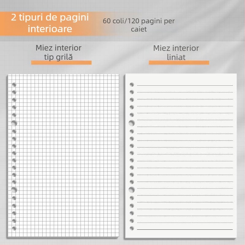 Caiet Sijin de clasificare a materiilor pentru elevi, format A4 cu foi detașabile, pagini liniate B5, atingere netedă, copertă PP