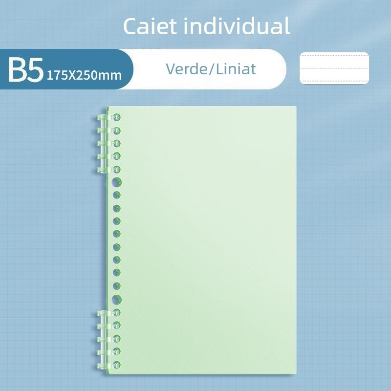 Caiet Sijin de clasificare a materiilor pentru elevi, format A4 cu foi detașabile, pagini liniate B5, atingere netedă, copertă PP