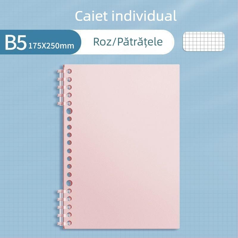 Caiet Sijin de clasificare a materiilor pentru elevi, format A4 cu foi detașabile, pagini liniate B5, atingere netedă, copertă PP