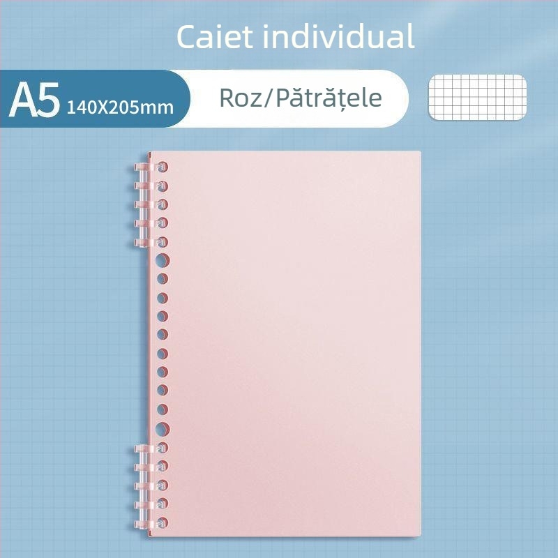 Caiet Sijin de clasificare a materiilor pentru elevi, format A4 cu foi detașabile, pagini liniate B5, atingere netedă, copertă PP