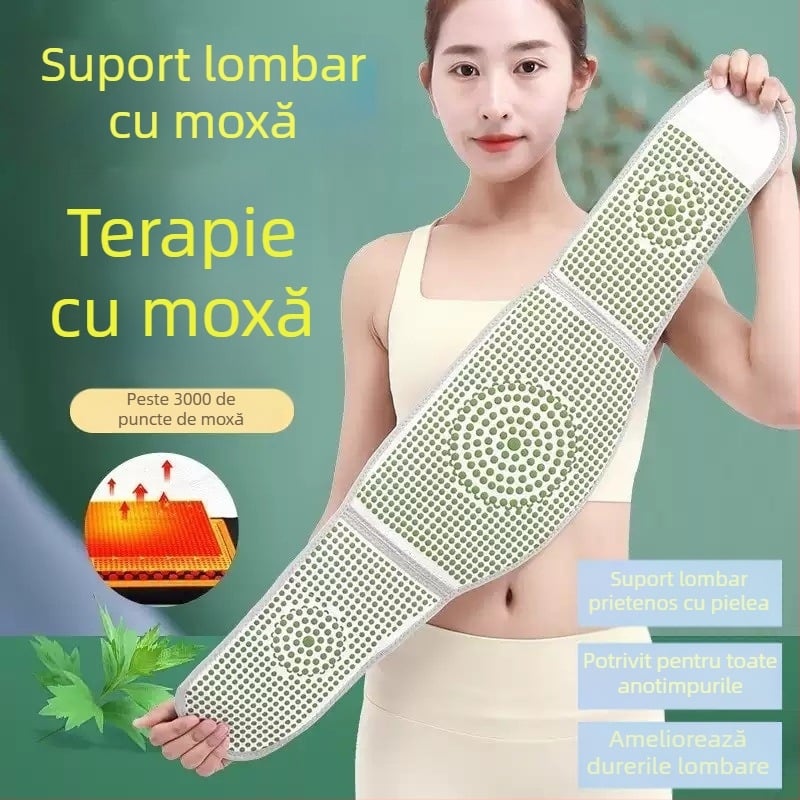 Bandă Mugwort pentru talie, universală, menține abdomenul și zona lombară calde iarna, tricotată cu Velcro, cărbune din bambus, echipament de protecție pentru talie