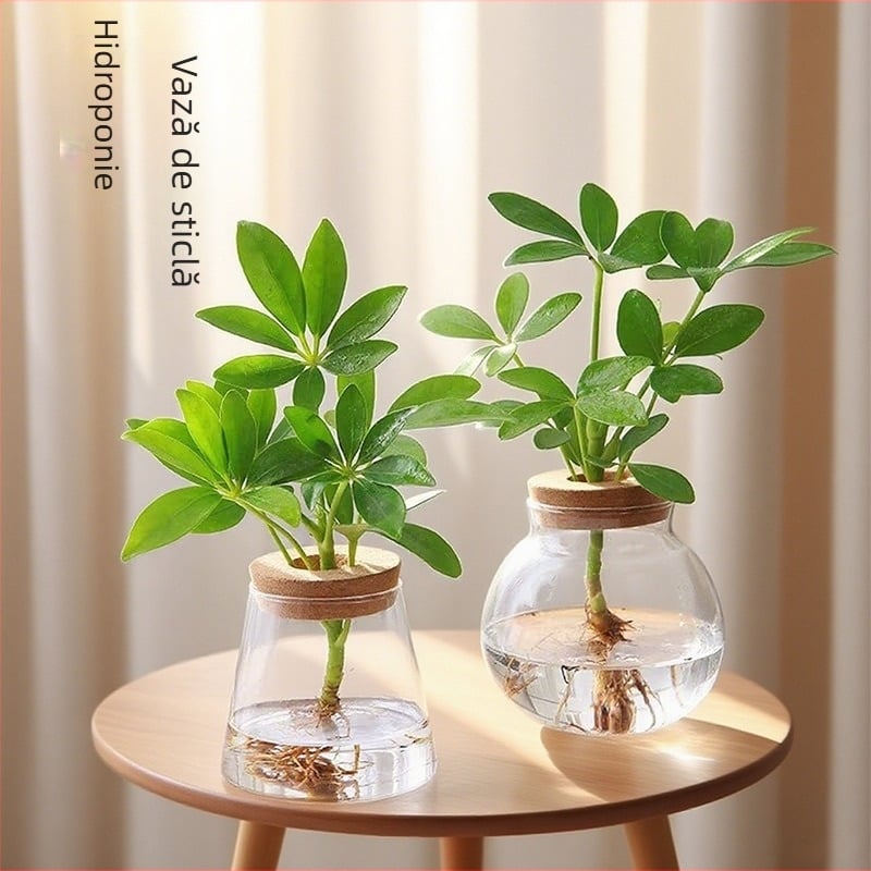 Acvariu din sticlă cu LED pentru plante, peisaj microecologic, sticlă borosilicat, recipient etanș pentru depozitare, ghiveci hidroponic